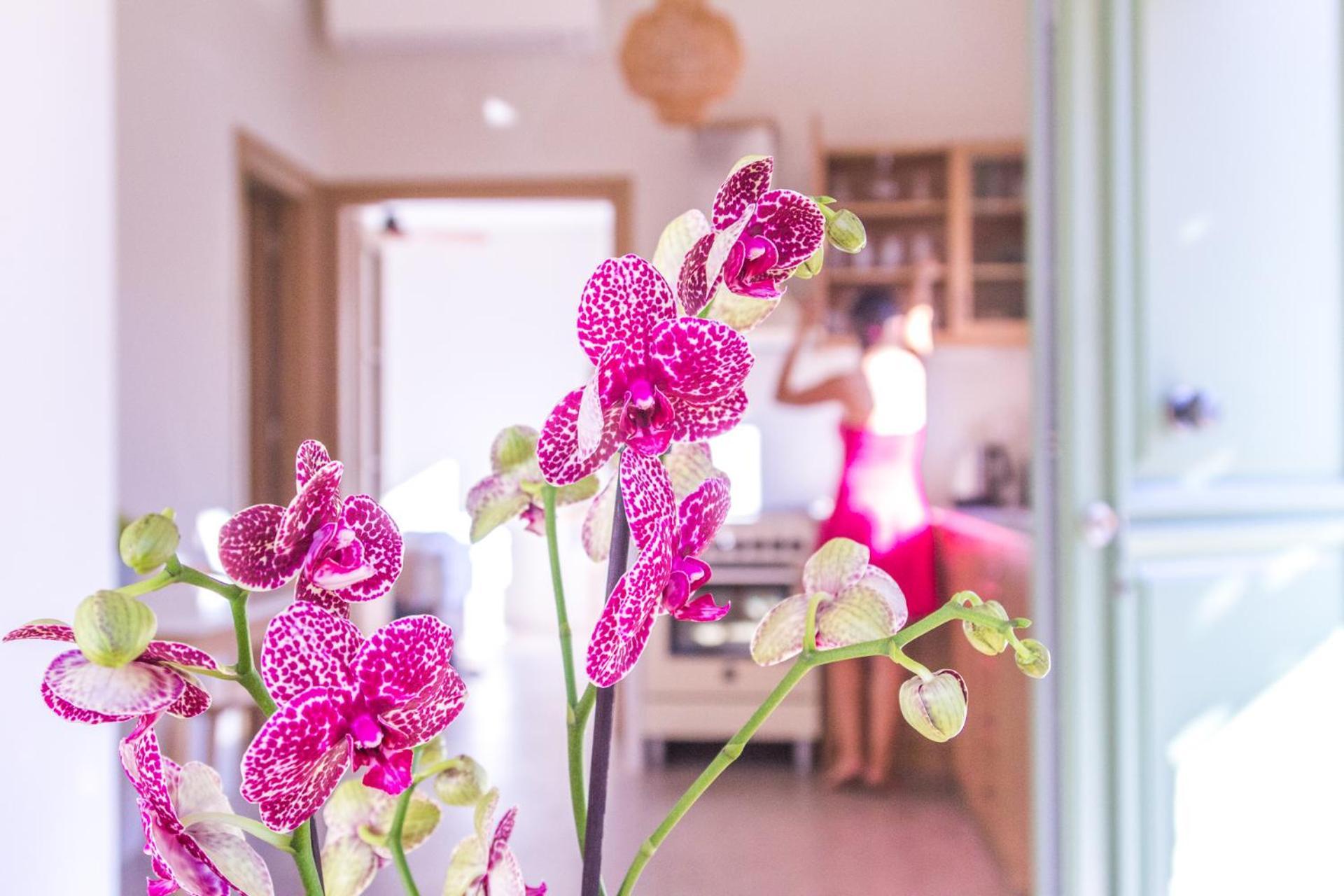 Arginonda Petra Boutique Villas חדר תמונה